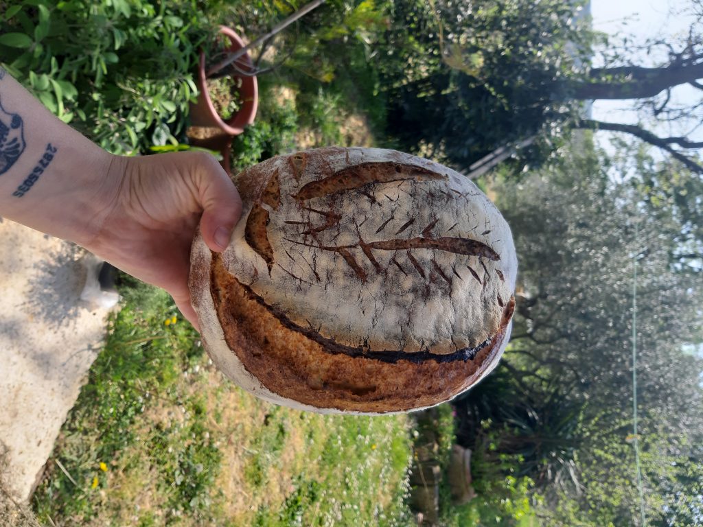 , Il pane fatto in casa da Sarah Vuk Brajko, Italijanska skupnost Giuseppe Tartini Piran