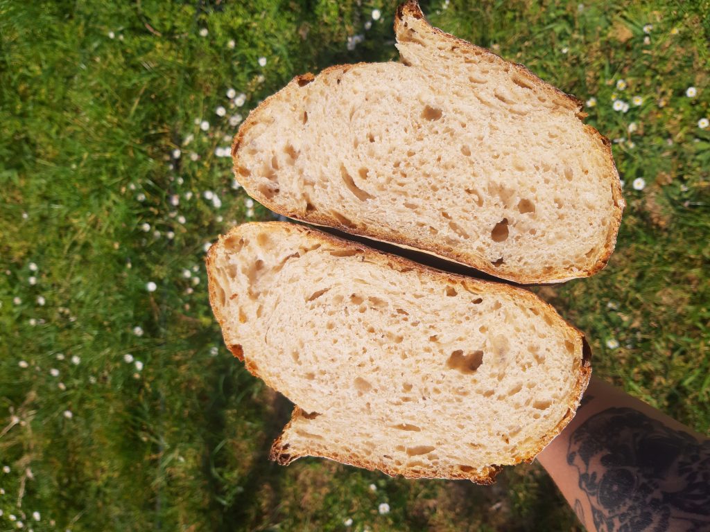 , Il pane fatto in casa da Sarah Vuk Brajko, Italijanska skupnost Giuseppe Tartini Piran