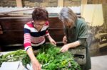 , FOTO: LA CUCINA DELLE SALINE / SOLINARSKA KULINARIKA, Comunita degli Italiani Giuseppe Tartini Pirano