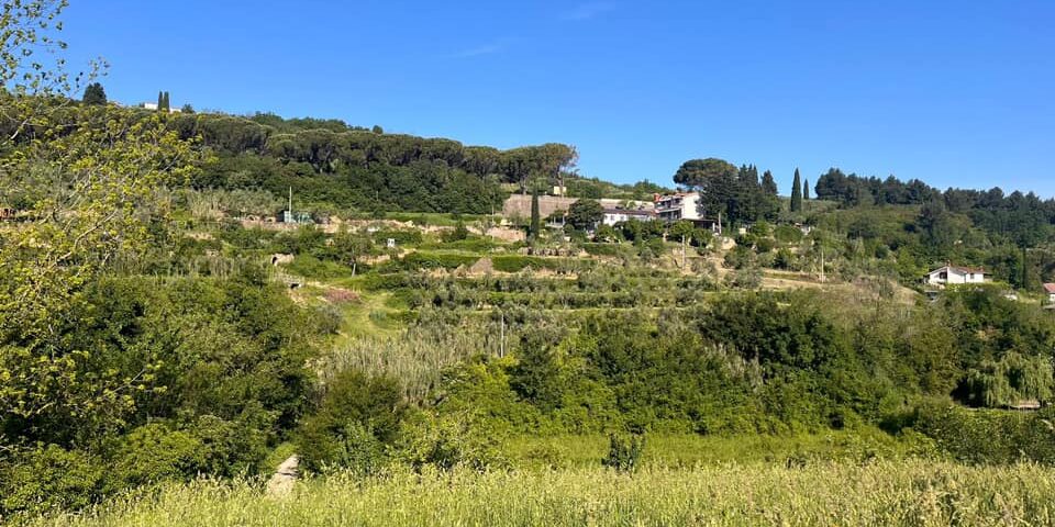 , Foto: Il paesaggio rurale di Carbonaro a Strugnano, Comunita degli Italiani Giuseppe Tartini Pirano