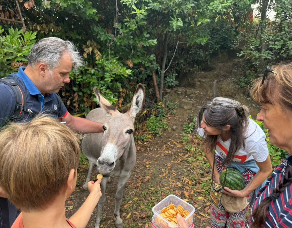 , Foto: Ruralità 2025 &#8211; Pazzugo, Comunita degli Italiani Giuseppe Tartini Pirano