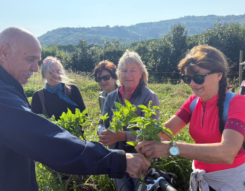 , Foto: Tematski sprehod &#8211; Strunjan, Italijanska skupnost Giuseppe Tartini Piran