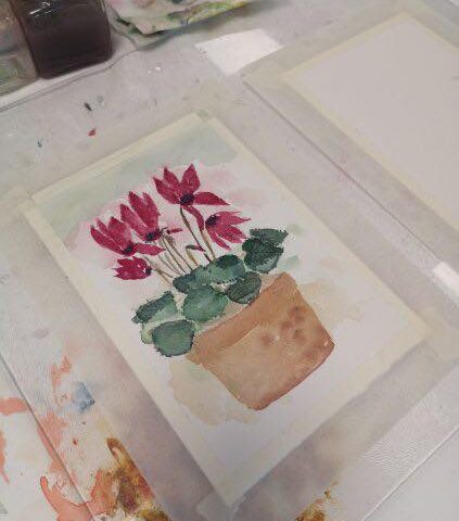 , Foto: Ciclamini dipinti, Comunita degli Italiani Giuseppe Tartini Pirano