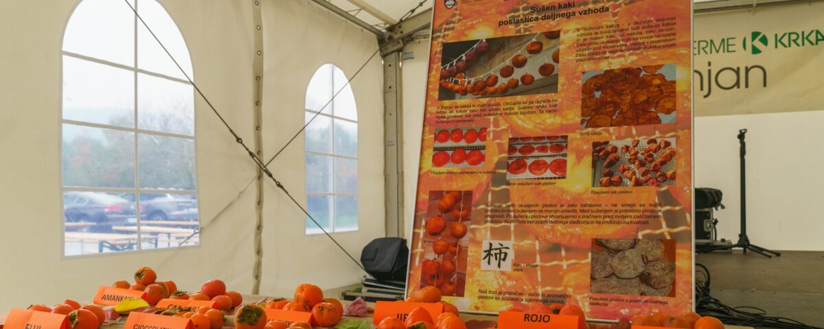 , Foto: 22. Praznik kakijev, Italijanska skupnost Giuseppe Tartini Piran