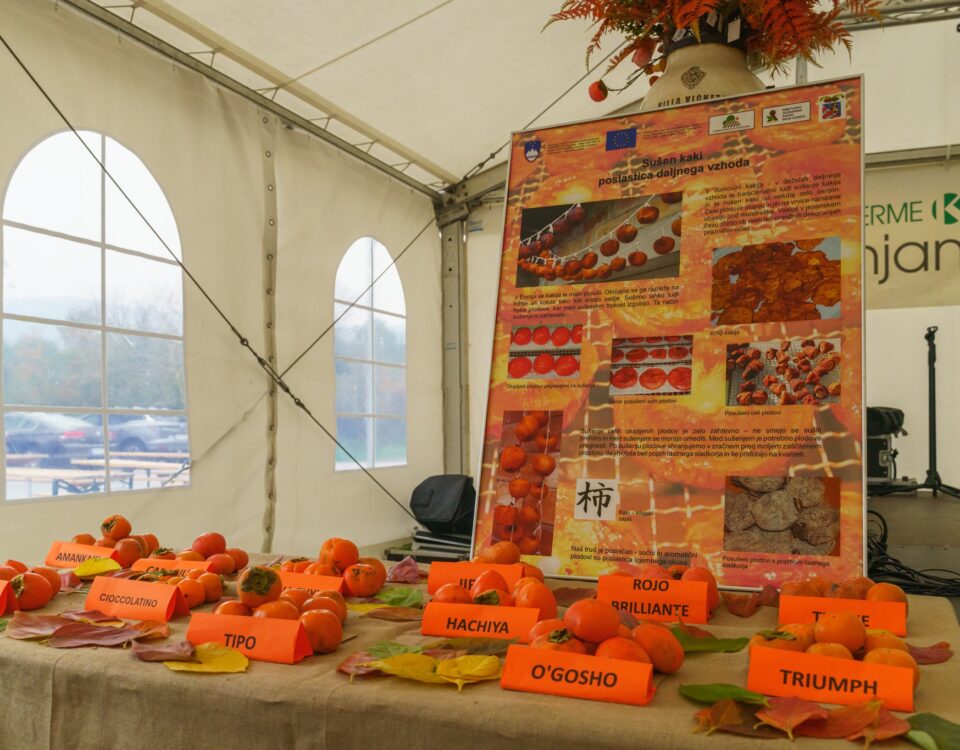 , Foto: 22. Praznik kakijev, Italijanska skupnost Giuseppe Tartini Piran